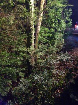  Fotografiji iz današnjega požara, posnete z GSM aparatom (Foto PGD Stična)